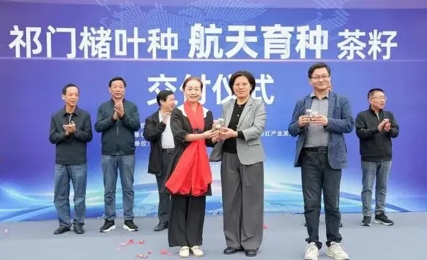 祁門「航天育種」茶籽交付儀式躋身安徽十大創新案例