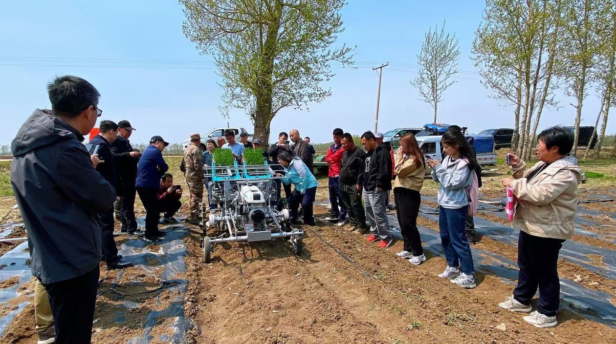 專家齊聚寧安市：「把脈開方」洋蔥產業全鏈條升級 破題機械化種植困局