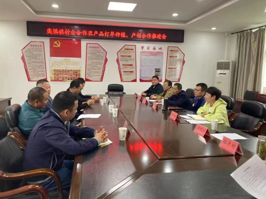 皖屯溪區：黨建引擎激發振興動能