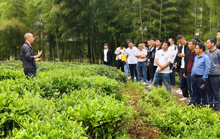 皖祁門縣：茶園機械化助推鄉村振興