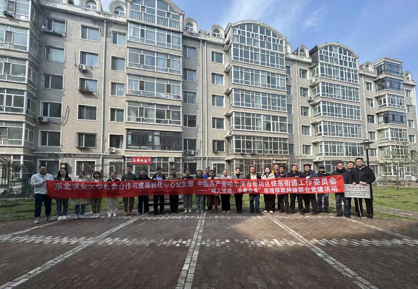 街校共建添芬芳！哈市香坊區鐵東街道開展玫瑰種植共建活動