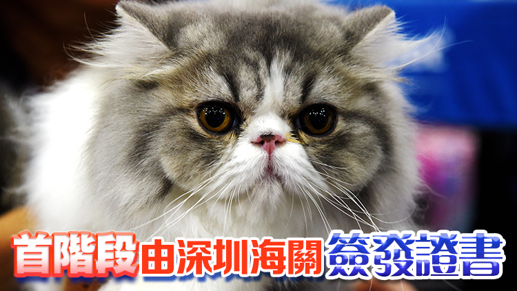 6月3日起，內地貓狗入港檢疫期大幅縮減至30天