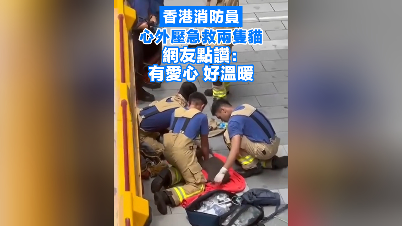 有片丨香港消防員心外壓急救兩隻貓 網友點讚﹕有愛心 好溫暖