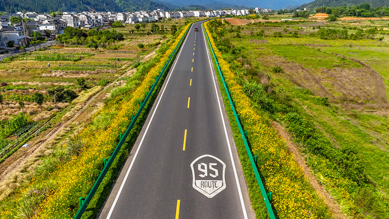 皖休寧縣: 芬芳滿路 美景相隨