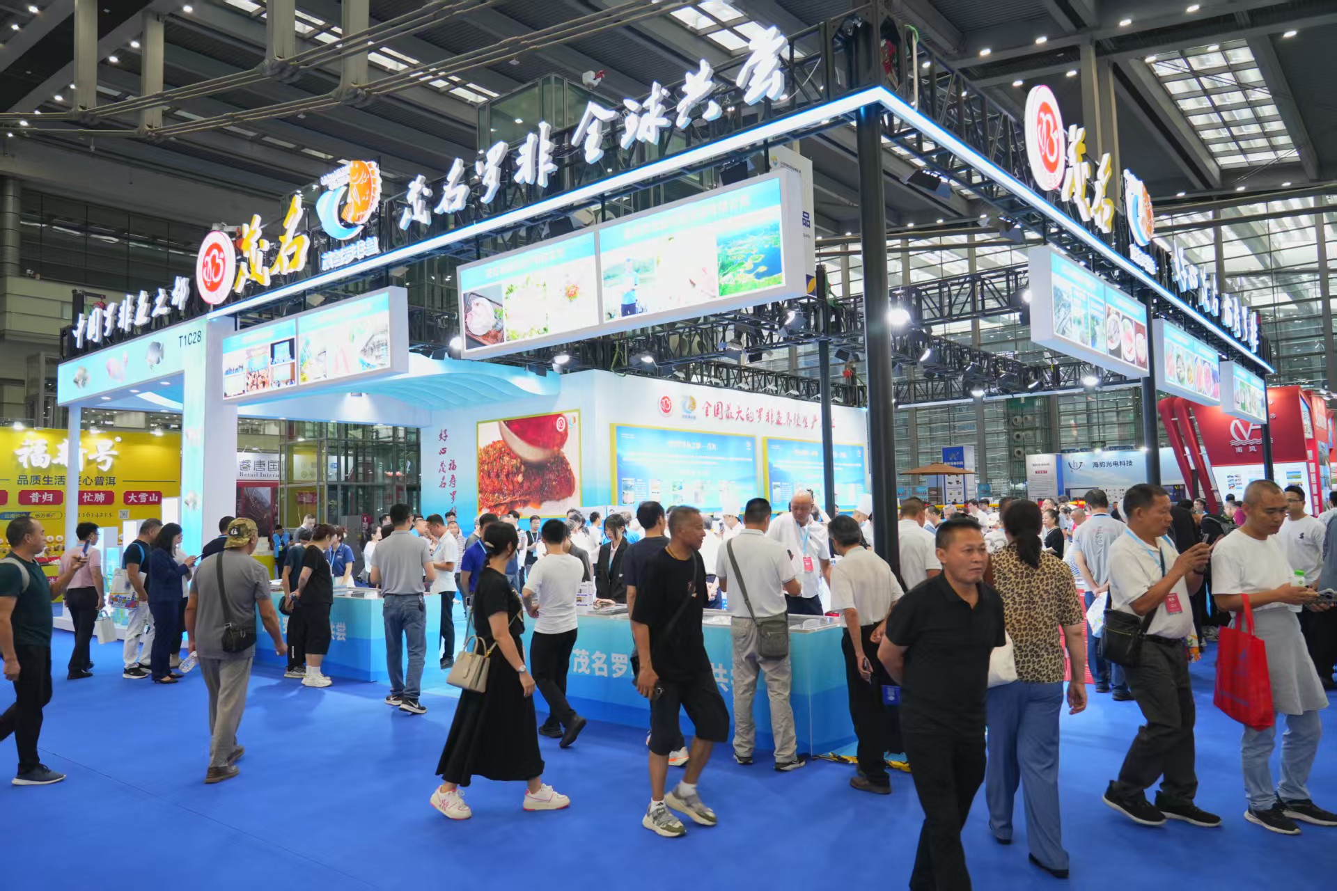 打品牌 拓市場 茂名羅非魚「游」進深圳漁博會