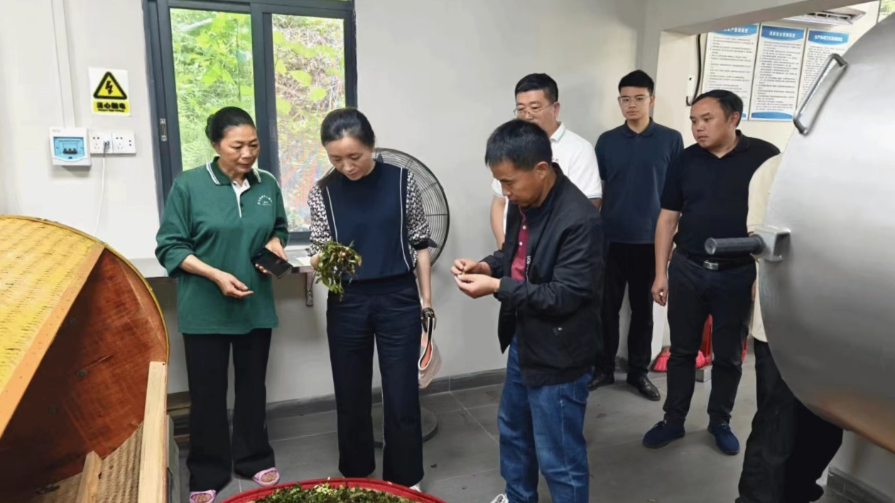 韶關學院「雙百行動」精準賦能廣東韶關武江產業升級  助推鄉村振興發展