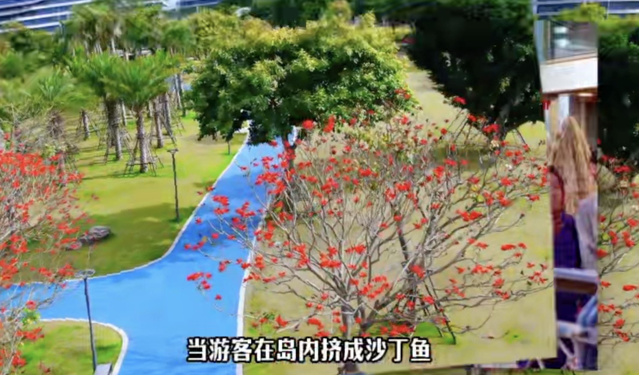 首屆廈門海滄區公園生活季短視頻大賽獲獎作品展播｜三等獎《廈門慢生活》