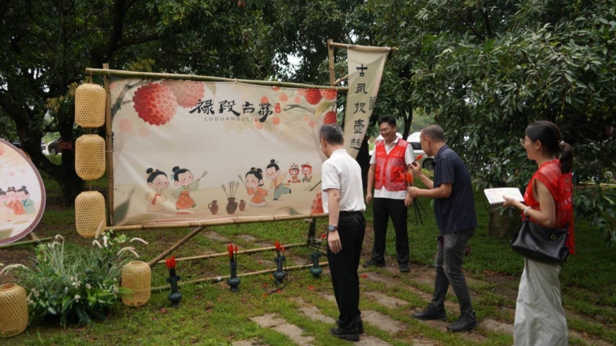 古荔甜蜜來襲！2025年茂名市茂南區荔枝營銷系列行動火「荔」全開