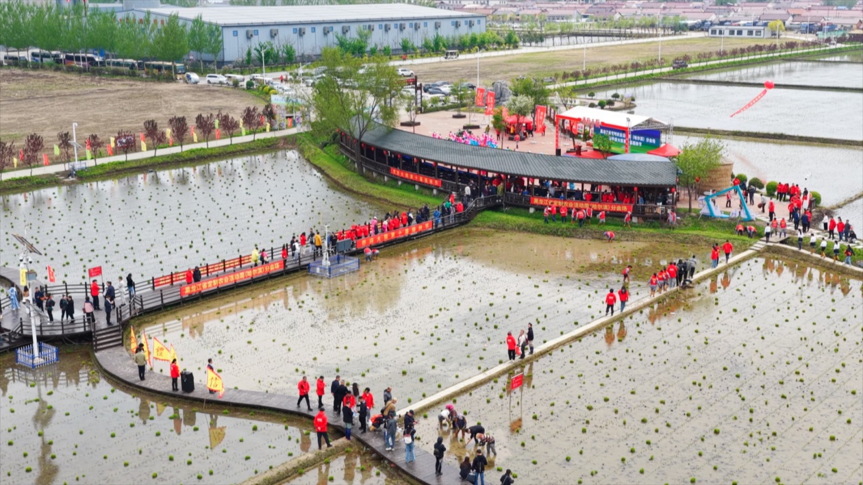 喬府大院第十屆插秧節：傳統農耕與智慧農業融合 定製農業模式開新局