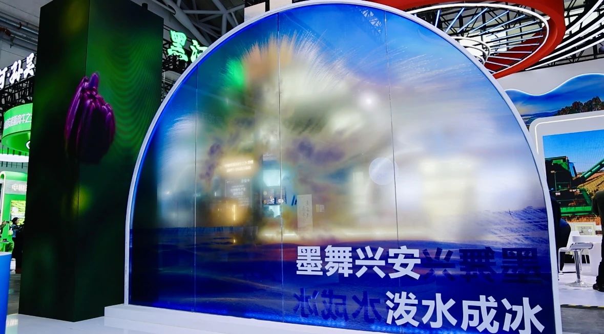 中國最北「藏寶圖」刷屏哈洽會！大興安嶺150㎡展區展「兩山」實踐新圖景