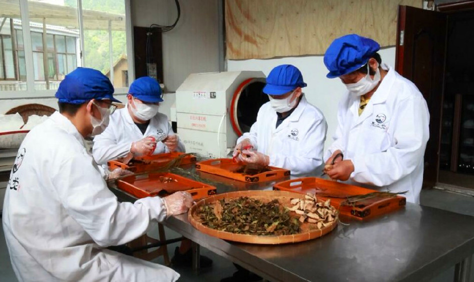 皖歙縣：拉滿「內循環」驅動力  激活「歙采繽紛」新動能