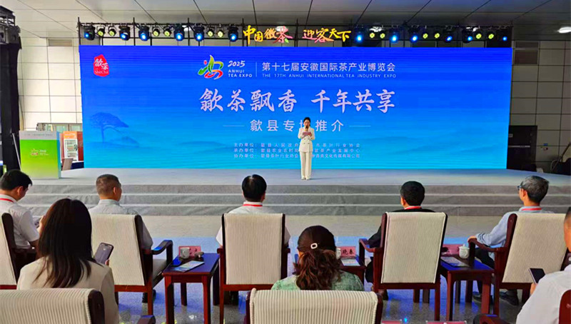 從茶園到世界全鏈突圍  皖歙茶韻動廬州