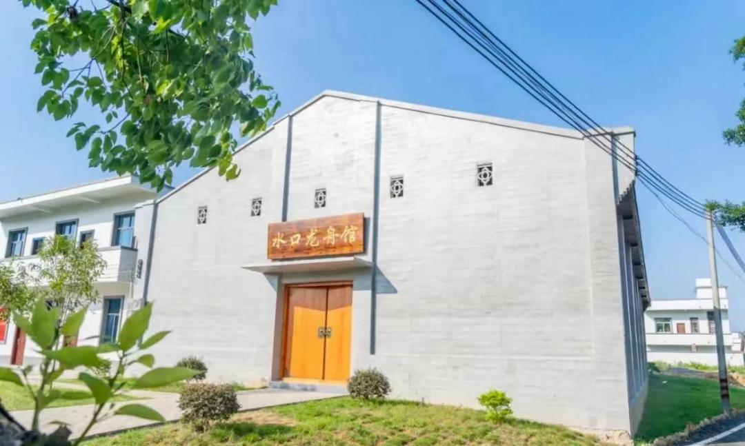 奮楫爭先！廣東韶關水口龍舟隊出征贛州「客家杯」再獲佳績