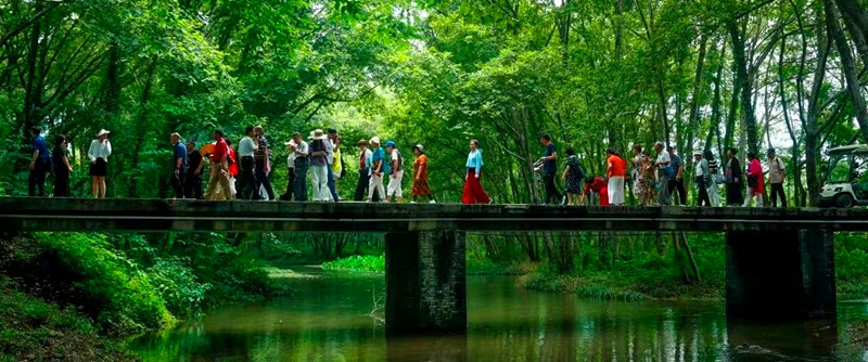 有片|皖徽州區：藍染生花  邂逅浪漫