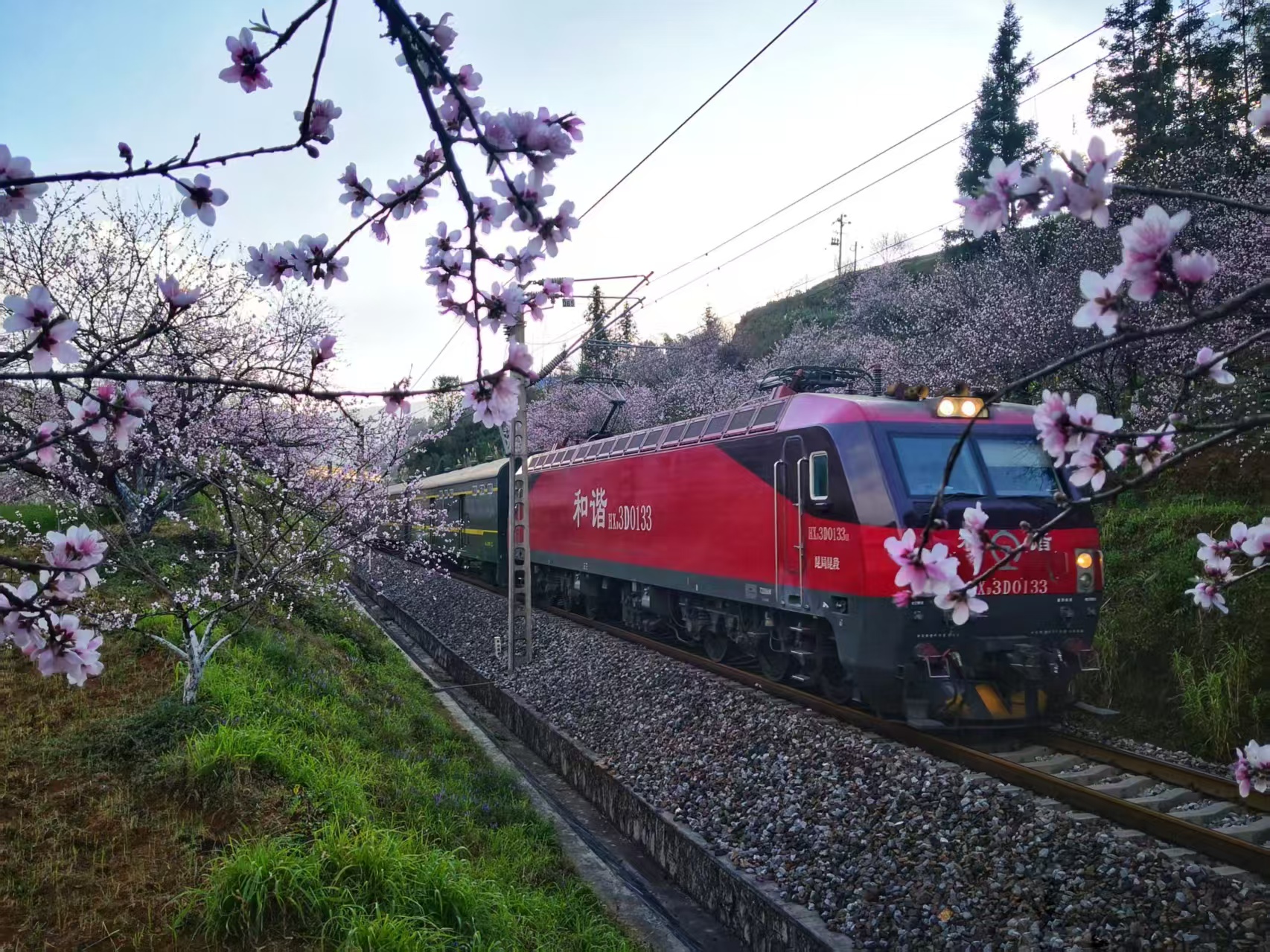 國鐵昆明局創新推出「坐着火車游雲南」便民列車