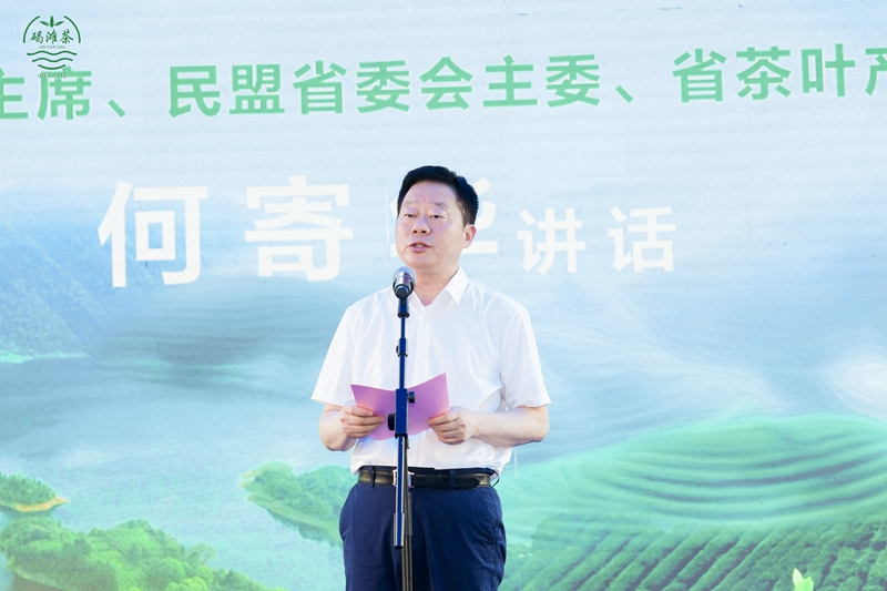 2025年沅陵碣灘茶推介會在長沙舉行