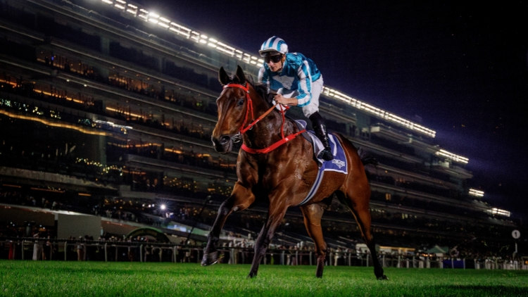 浪漫勇士榮歸歡迎儀式周日舉行 遨遊氣泡衝擊三冠馬王