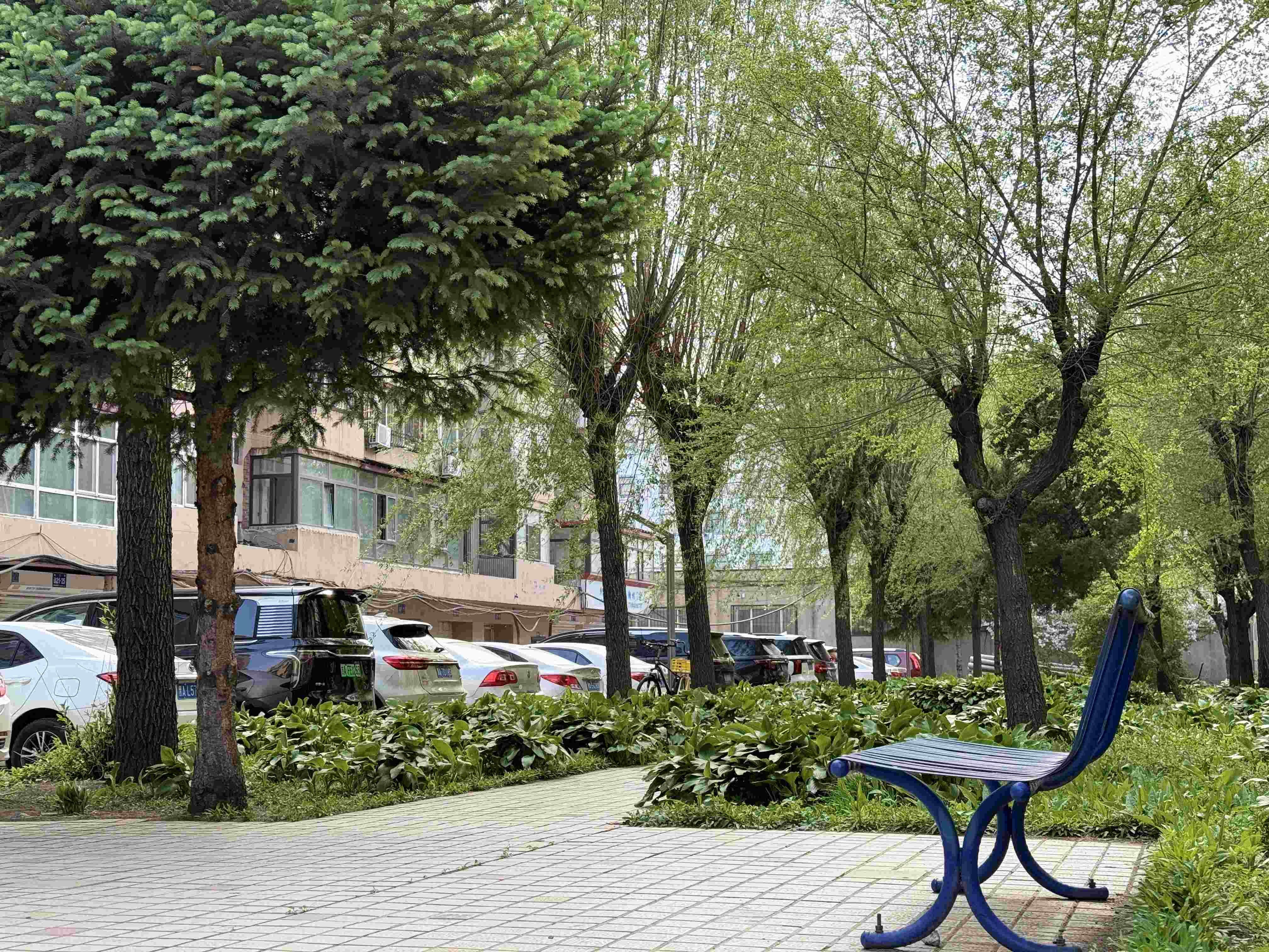 哈市香坊區首創居民庭院評級 星級「精品小院」煥新老城居住品質