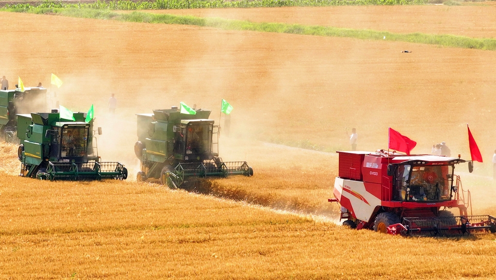 研究：全球變暖將使糧食主產區氣候風險升級