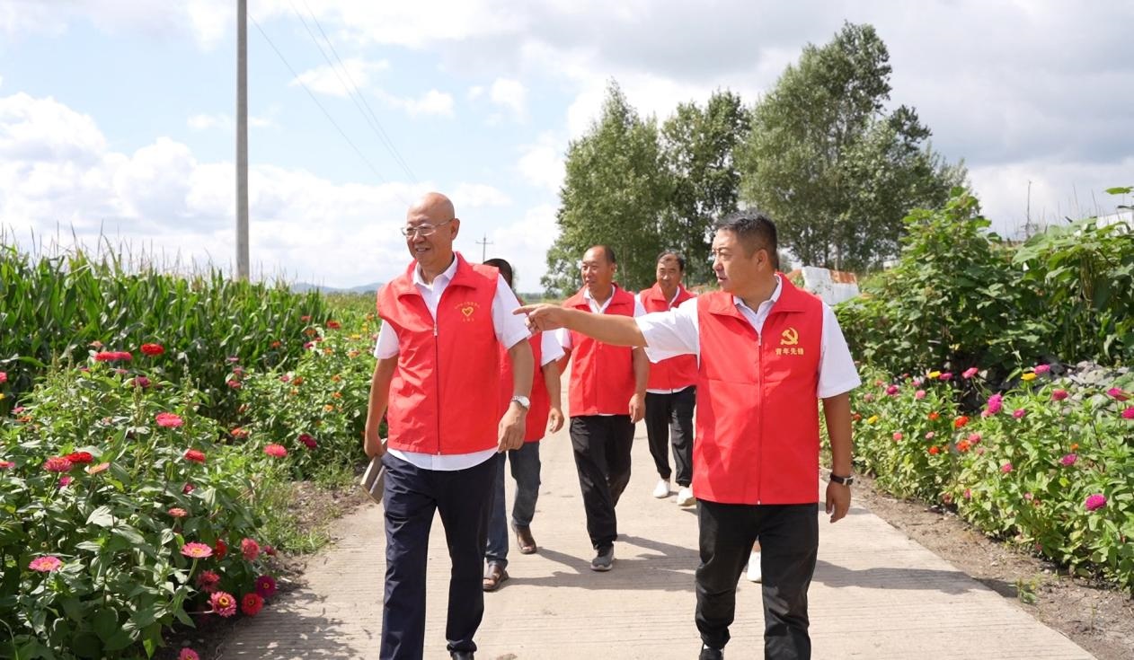 五星標準繪就振興畫卷｜雞西市農業農村局駐村工作隊幫扶忠信村煥新彩