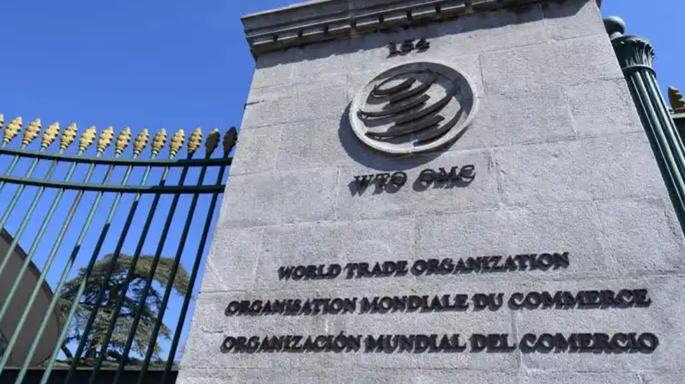 世貿組織成員批評美國「對等關稅」 呼籲強化多邊貿易體制 
