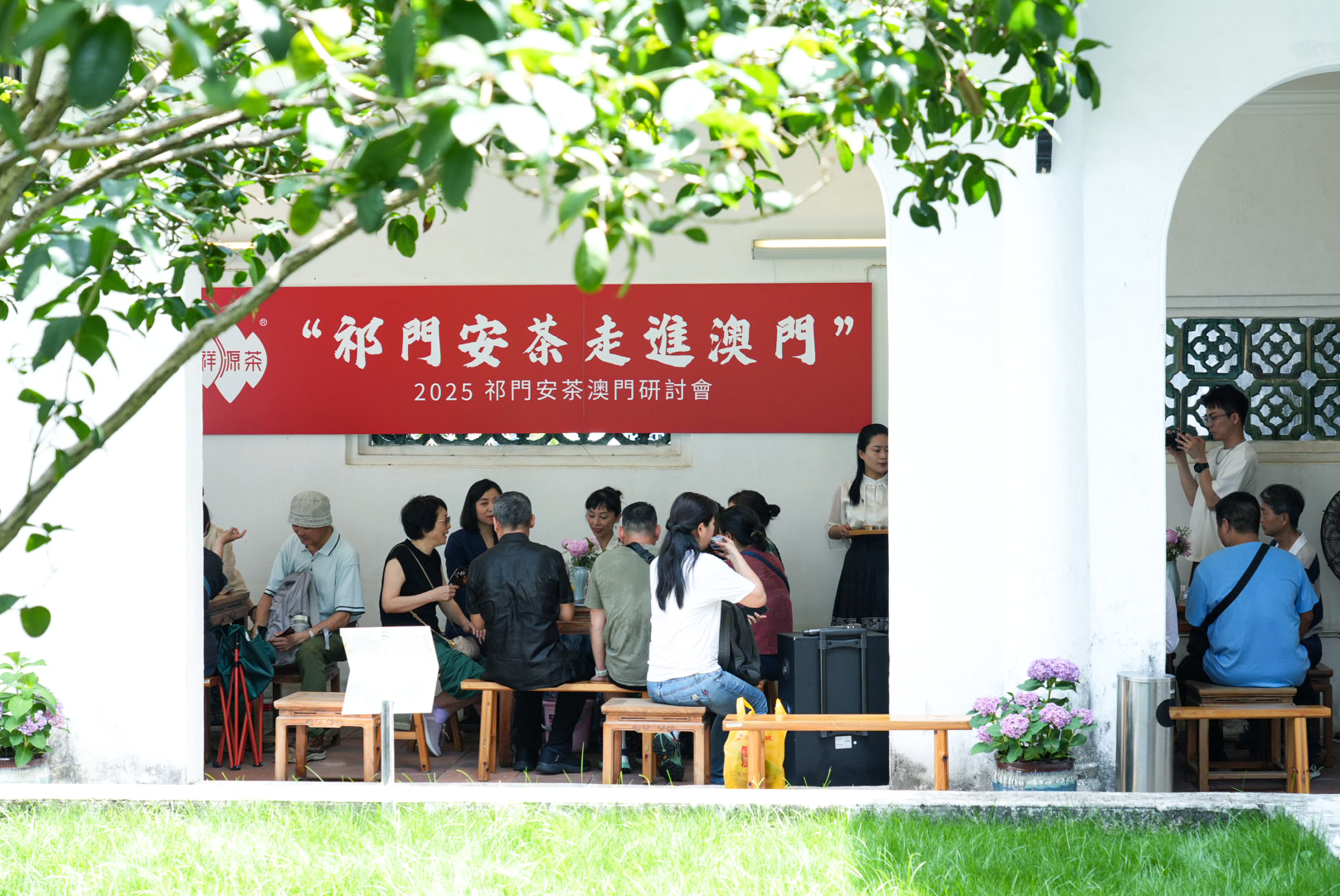 共築復興之路共拓繁榮之局  祁門安茶重回濠江故地