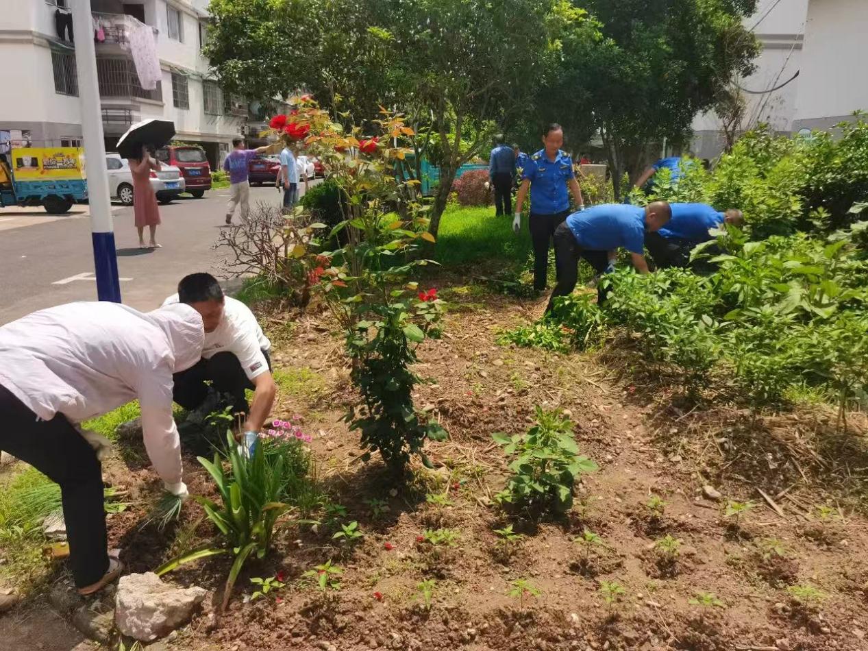 皖屯溪陽湖鎮：整治「毀綠種菜」 共築文明家園
