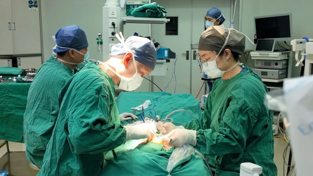 「大病不出島，民生有醫靠」海南省人民醫院改革創新  踐行自貿醫療先鋒擔當