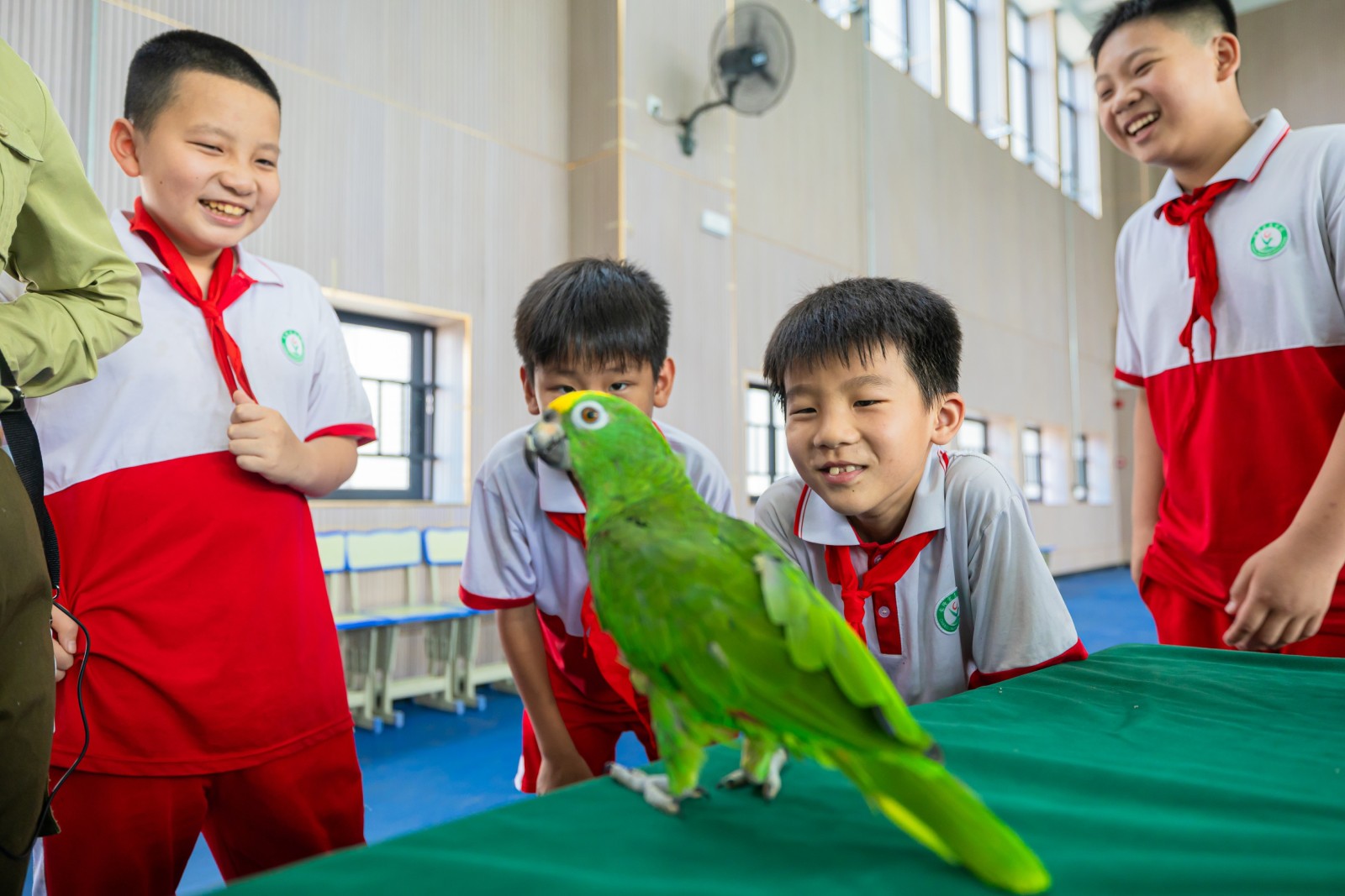 探索奇趣動物王國  長隆「科普進校園」活動走進廣東清遠