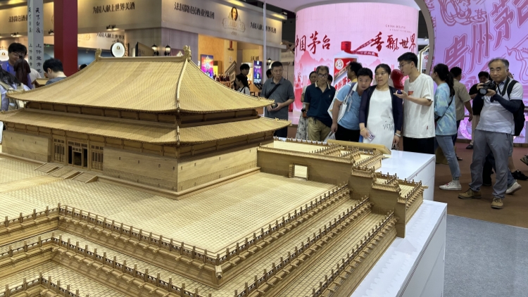 「樣式雷」北京中軸線木結構模型亮相文博會