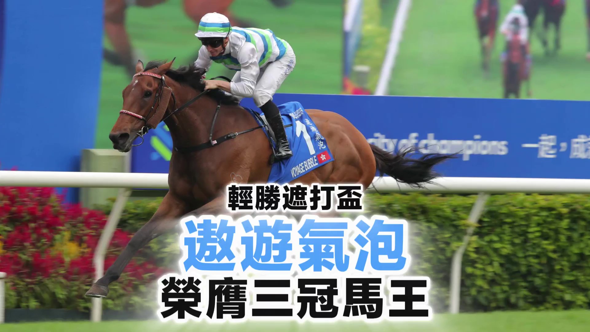 有片丨姚本輝：夢想成真 「遨遊氣泡」榮膺三冠馬王