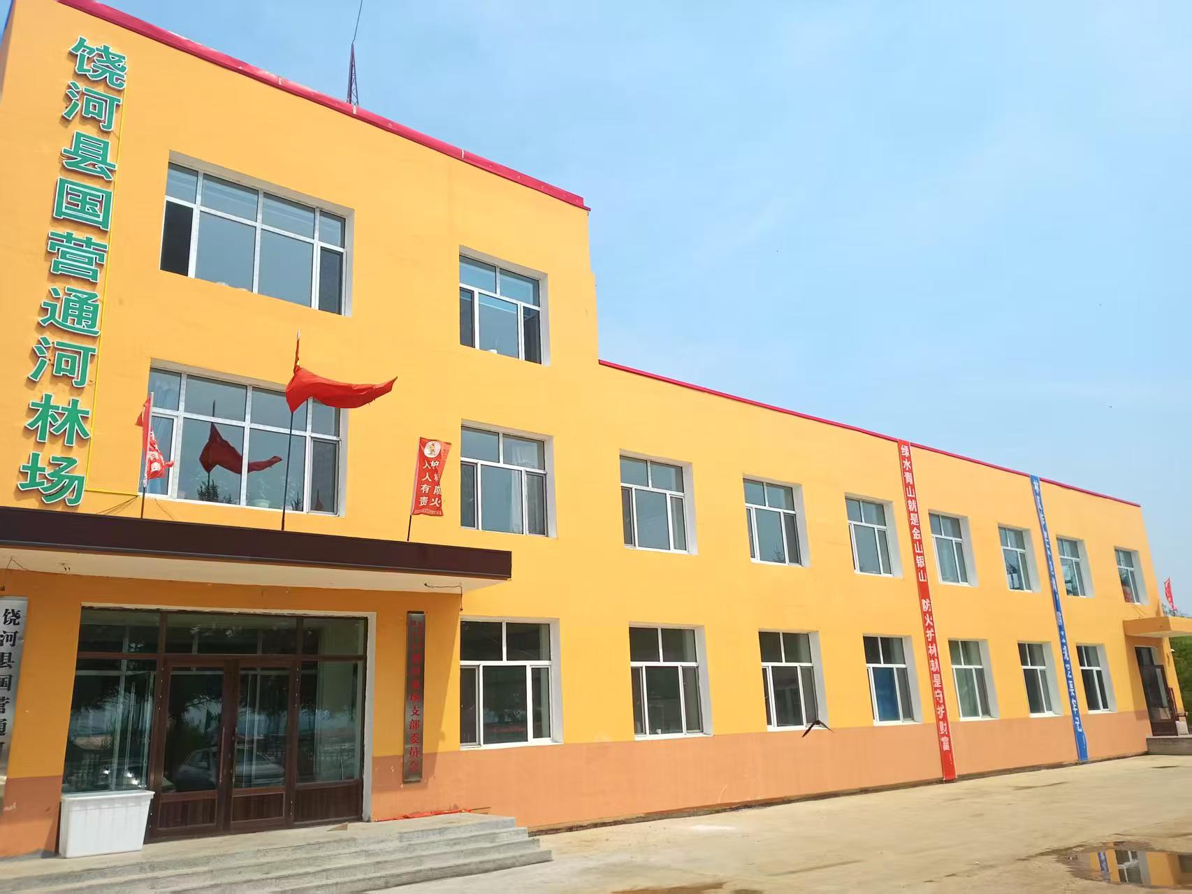 黑龍江饒河縣：綠野生金 林下經濟激活鄉村振興新動能