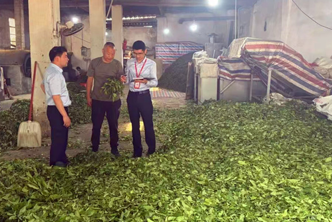 「手機一點，貸款就到賬」  皖休寧「興農e貸」助「茶箬生金」