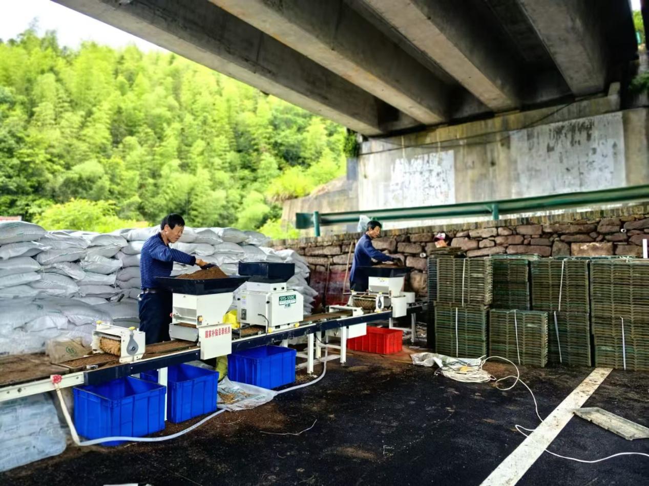 皖黟縣漁亭鎮：智慧農機提質增效  科技賦能增產增收