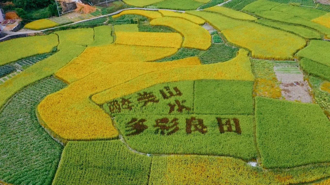 有獎徵集|揭西縣「潮風客韻 和美揭西」主題原創歌曲徵集活動開啟