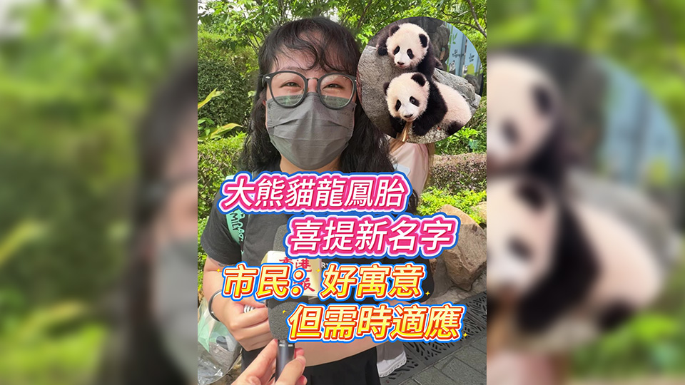 有片丨大熊貓龍鳳胎喜提新名字 市民：好寓意 但需時適應