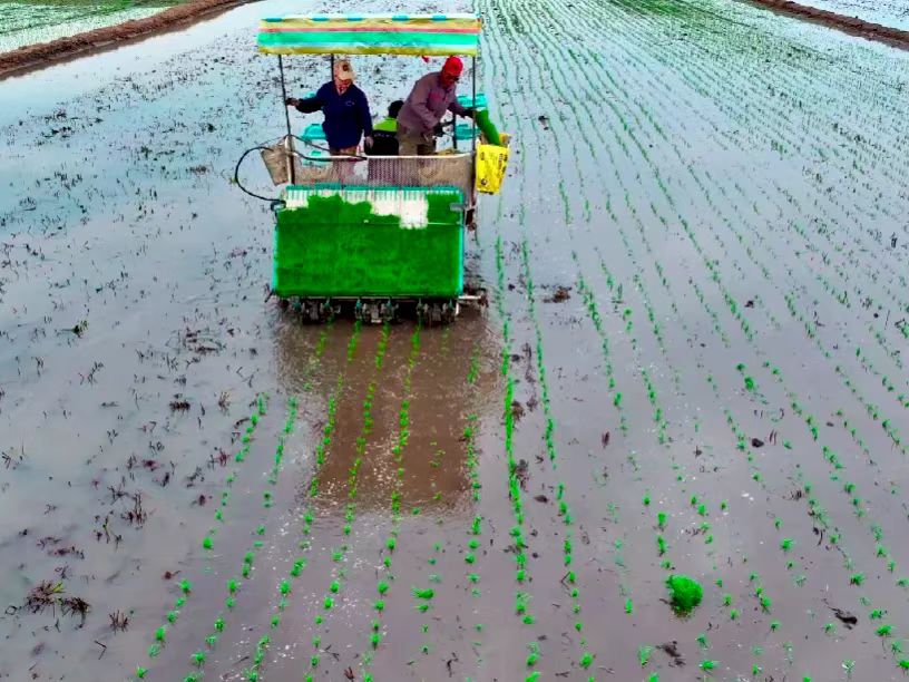 黑龍江寶清縣定製農業實現鄉鎮全覆蓋 總產值將突破1.5億元