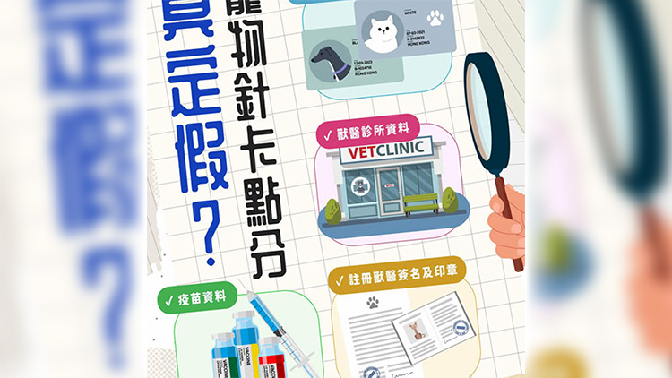 網購寵物存風險 要懂得寵物針卡真偽