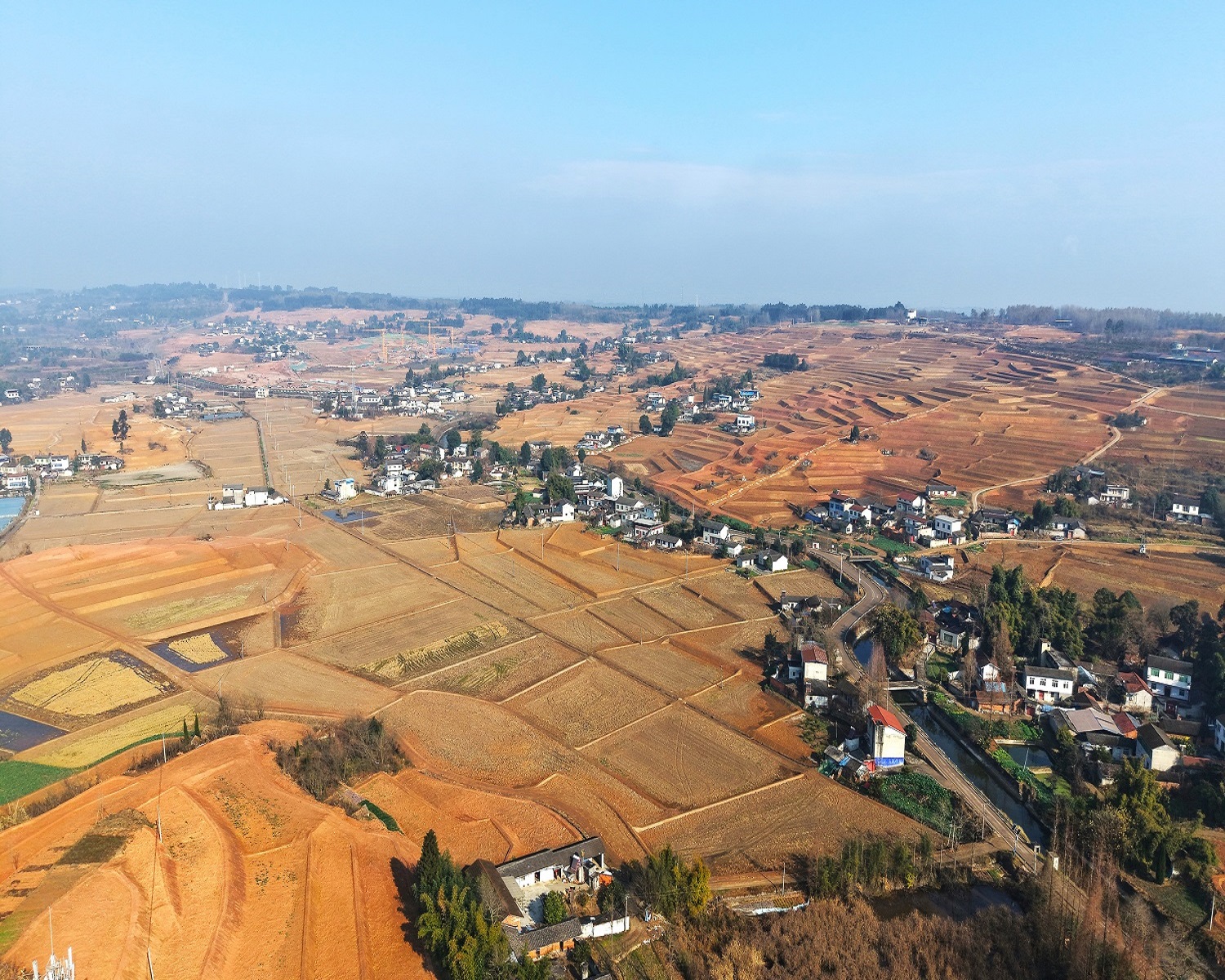 「土地魔術」重塑天府糧倉 四川德陽羅江「補丁田」變身村民增收「金飯碗」