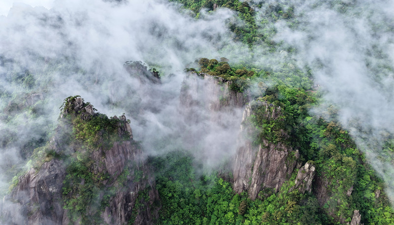有片|初夏黃山行 邂逅夢幻奇景