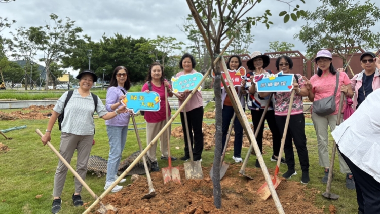 紫雲漫道連深港 同心龍舟載鄉情 香港大鵬同鄉會綠美行動續寫家國情懷