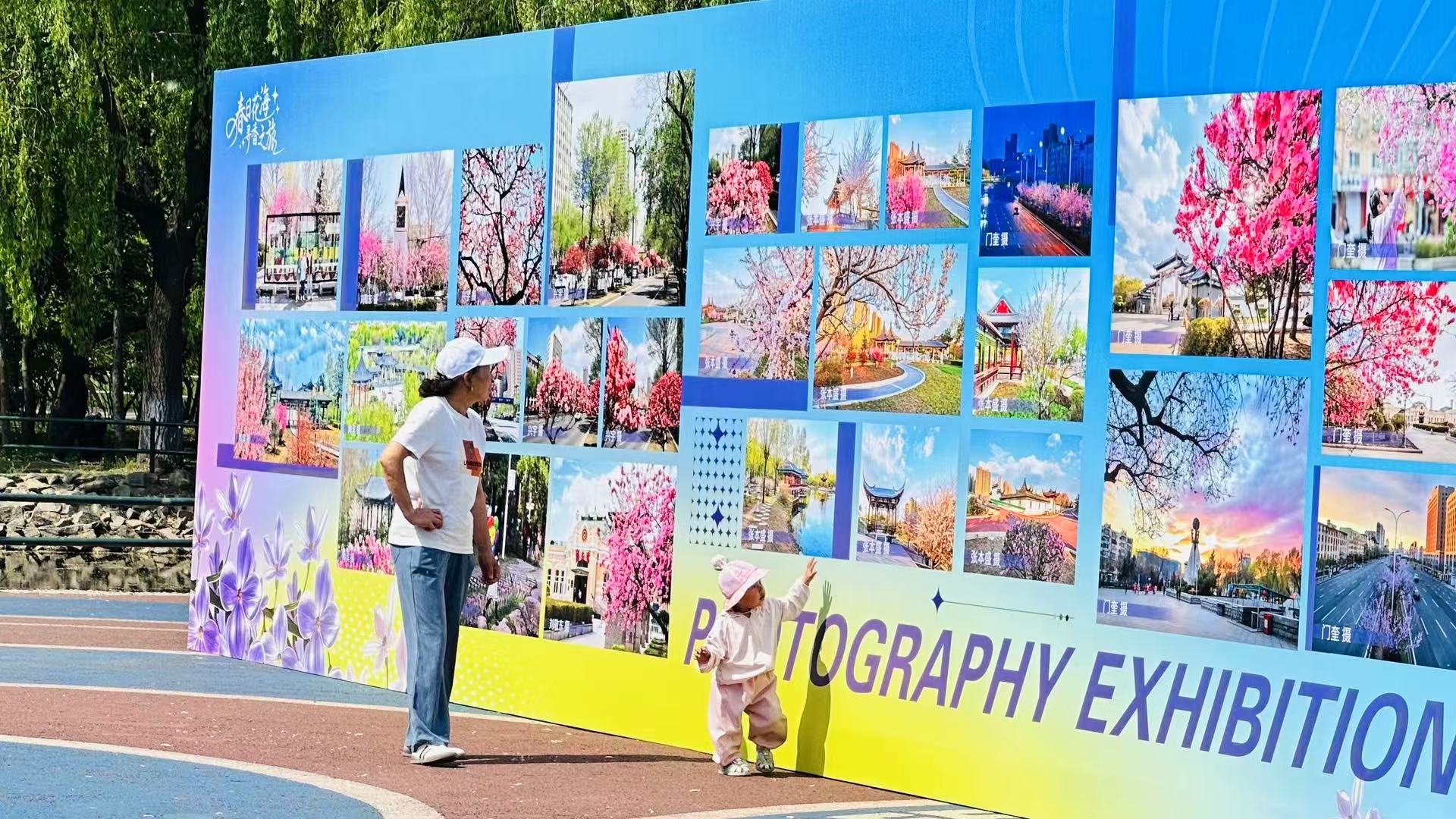 端午艾香遇上花海光影！哈市香坊區攝影展舉辦