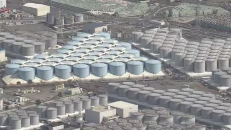 外交部回應日本水產品進口問題