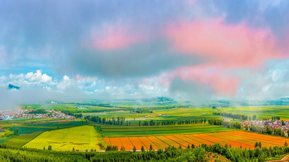 黑土傳奇·「四鏈」融合！解碼黑龍江寶清農業強縣的破題密碼