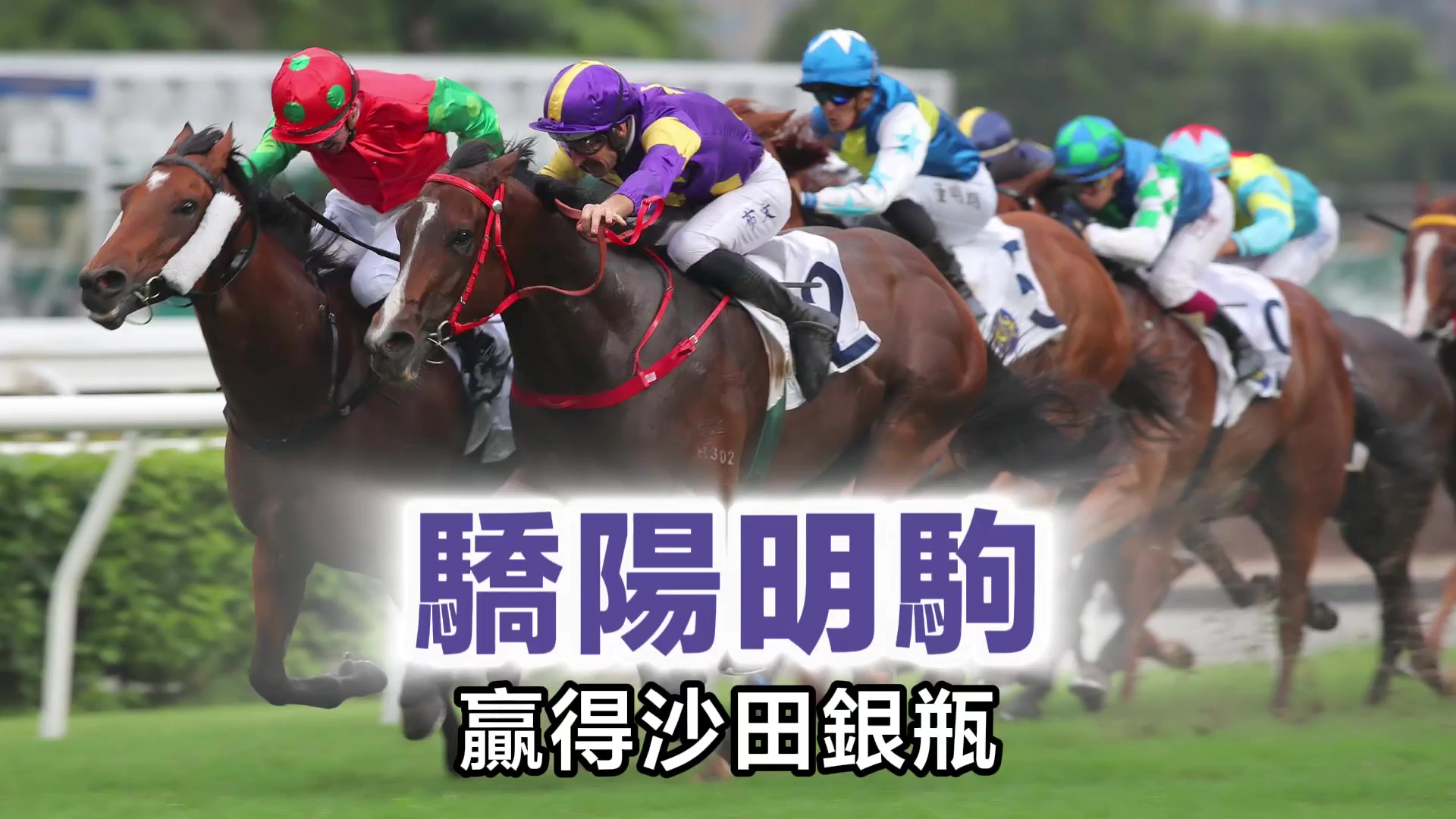 有片｜「驕陽明駒」勇奪沙田銀瓶 蔡約翰：終能達成任務