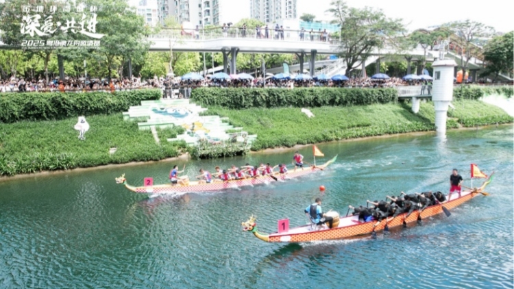 2025粵港澳龍舟邀請賽「劃」出宣文旅商融合發展新圖景