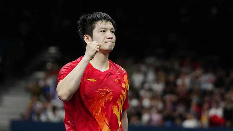 德國駐華大使館：祝願樊振東在歐洲賽場大展身手