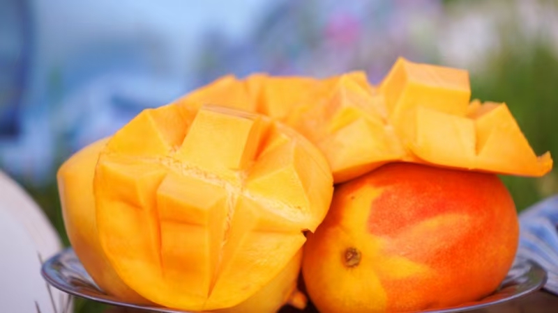 你好，永仁芒果！