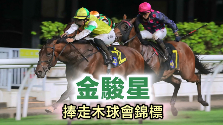 有片 | 閘前票數排山倒海 金駿星捧走木球會錦標