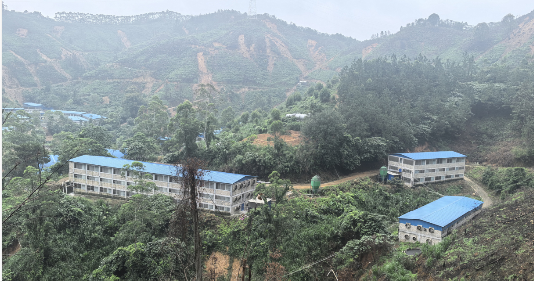 桂陸川豬全產業鏈模式：從地方名豬到全國品牌的跨越